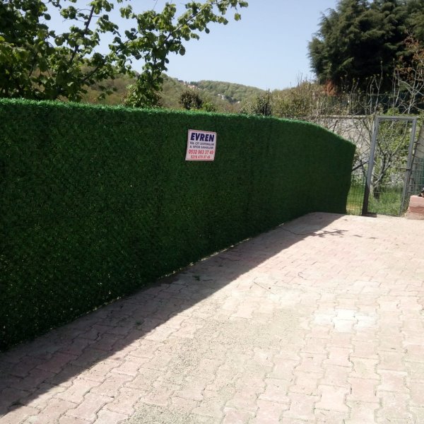 Çim Duvar Çiti