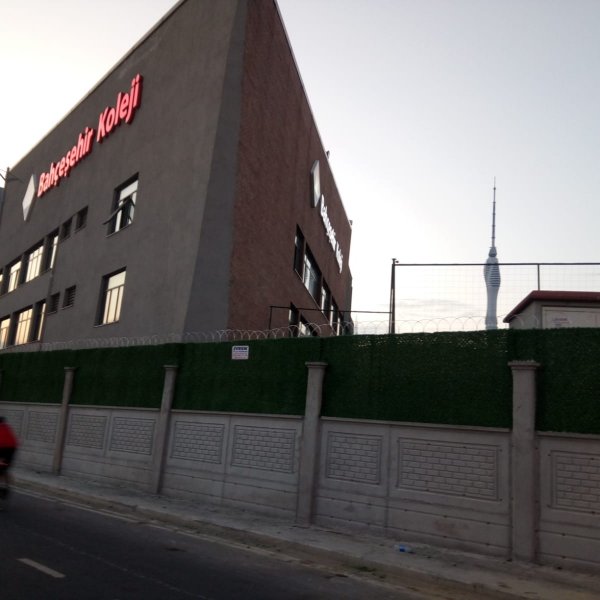 Çim Duvar Çiti