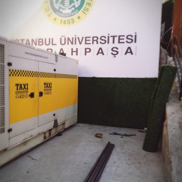 Çim Duvar Çiti