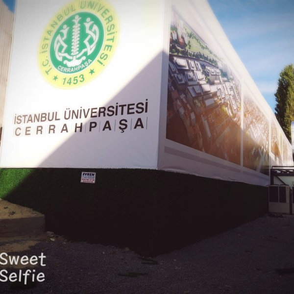 Çim Duvar Çiti