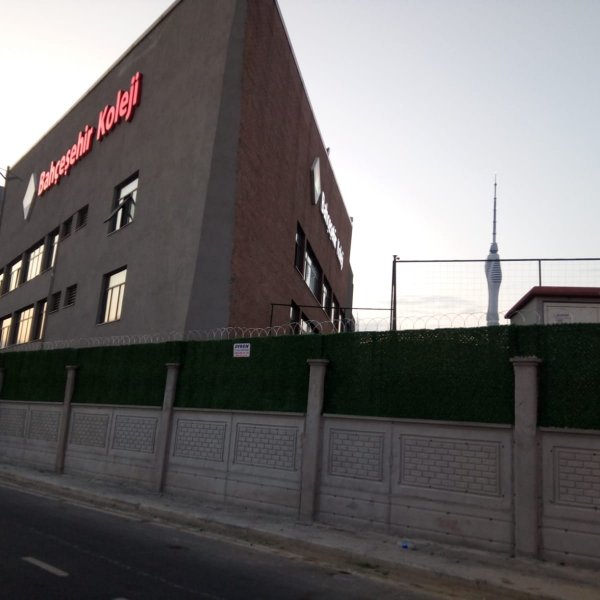 Çim Duvar Çiti