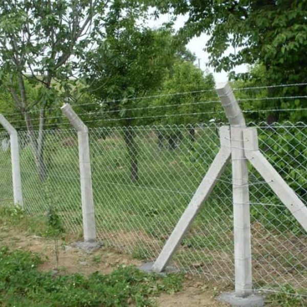Tel Örgü Çitler