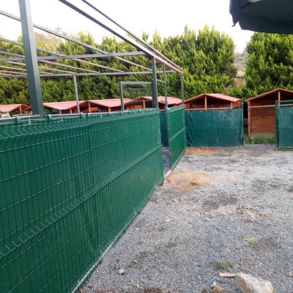 Tel Örgü Çitler