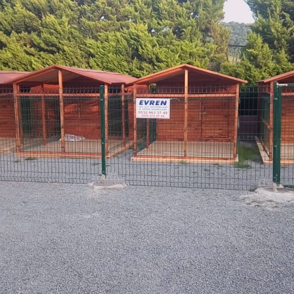 Tel Örgü Çitler